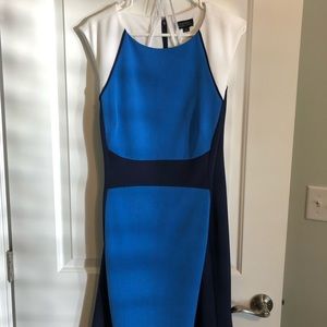 Colorbloc Tahari Dress